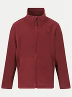 Odzież trekkingowa dziecięca - ZigZag Polar Zap Fleece Z211077 Fioletowy Regular Fit - miniaturka - grafika 1