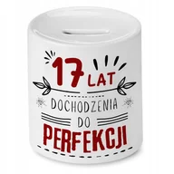 Skarbonki - Skarbonka na Urodziny 17 17te 17-te na Prezent z Nadrukiem ze Zdjęciem + Opakowanie na prezent (wzór 01) - miniaturka - grafika 1