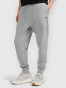 Spodnie męskie - Męskie spodnie dresowe 4F 4FRMM00TTROM1624-27M Szary 2XL - miniaturka - grafika 1