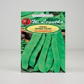 Nasiona i cebule - Fasola szparagowa Hilds Neckarkönigin Zielona 10g - Nasiona - W. Legutko - miniaturka - grafika 1