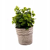 Sztuczne kwiaty - Kwiat Zielona Roślina W Doniczce 18Cm Różne Wzory - miniaturka - grafika 1