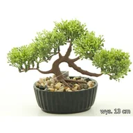 Sztuczne kwiaty - Bonsai w doniczce 13 cm - miniaturka - grafika 1