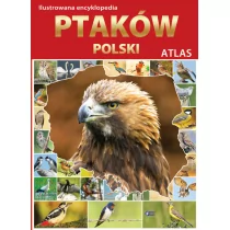 Fenix praca zbiorowa Atlas. Ilustrowana Encyklopedia ptaków Polski - Encyklopedie i leksykony - miniaturka - grafika 1