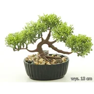 Sztuczne kwiaty - Bonsai w doniczce 13 cm - miniaturka - grafika 1