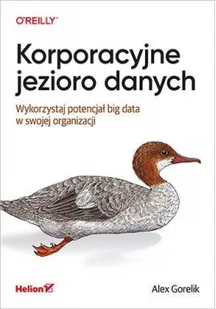Gorelik Alex Korporacyjne jezioro danych - Książki o programowaniu - miniaturka - grafika 3