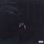 Pop - If Looks Could Kill (Limited) (Jewel) - miniaturka - grafika 1