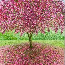 Susan Entwistle Susan Entwistle Karnet z kopertą Wiosenny kwiat 441546 - Kartki okolicznościowe i zaproszenia - miniaturka - grafika 2