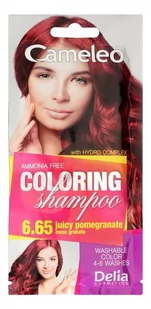 DELIA Cosmetics Cameleo Szampon koloryzujący 6.65 Owoc Granatu 40ml - Farby do włosów i szampony koloryzujące - miniaturka - grafika 1