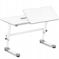 Biurka - FROMM_STARCK Biurko z regulacją wysokości - 120 x 66 cm - kąt 0-50° - wys. 600-760 mm FROMM STRACK 10260366 STAR_LDS_13 10260366 STAR_LDS_13 - miniaturka - grafika 1