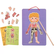Układanki dla dzieci - Tooky Toy Drewniane Puzzle Magnetyczne Nauka Anatomia Człowieka 78el. - miniaturka - grafika 1