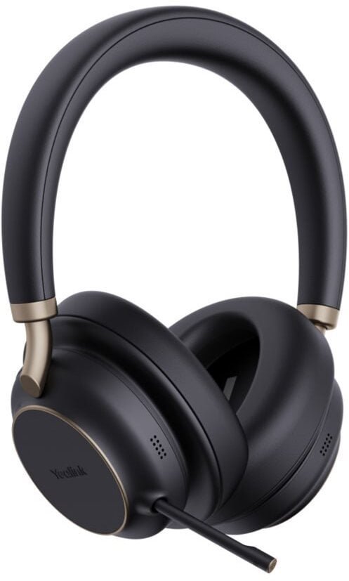 BH76 Plus - Headset - on-ear