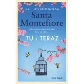 Literatura obyczajowa - Tu i teraz - miniaturka - grafika 1