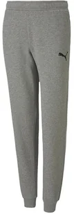 Spodnie dla dzieci Puma teamGOAL 23 Casuals Pants Jr szare 656713 33-128 - Spodnie męskie - miniaturka - grafika 1