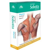 Książki medyczne - Anatomia Sobotta Flashcards Mięśnie Łacińskie mianownictwo anatomiczne - L. Bräuer - miniaturka - grafika 1