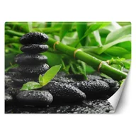 Fototapety - Fototapeta, Bambus kamienie zen - 100x70 - miniaturka - grafika 1