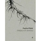 Poezja - (miejsca ich jesiony) - miniaturka - grafika 1