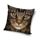 Poszewki na poduszki - Carbotex Poszewka Kotek PD191062 40x40 cm 39114 - miniaturka - grafika 1