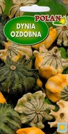 Nasiona i cebule - Dynia ozdobna Crown of Thorns 5 g POLAN - miniaturka - grafika 1
