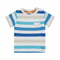 Bluzki damskie - Chłopięca bluzka z krótkim rękawem, szary, rozmiar 62 - miniaturka - grafika 1