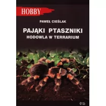 Pająki Ptaszniki Hodowla w Terrarium - Paweł Cieślak - Rośliny i zwierzęta - miniaturka - grafika 2