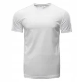 Koszulki męskie - Męska Koszulka z krótkim rękawem DILLION XL - miniaturka - grafika 1