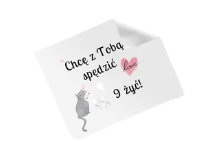 Ściereczka do okularów 9 żyć - 1 szt. - Akcesoria do okularów - miniaturka - grafika 1