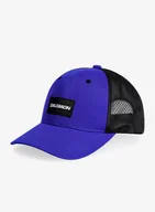 Czapki męskie - Czapka z daszkiem Salomon Trucker Curved Cap - surf the web - miniaturka - grafika 1