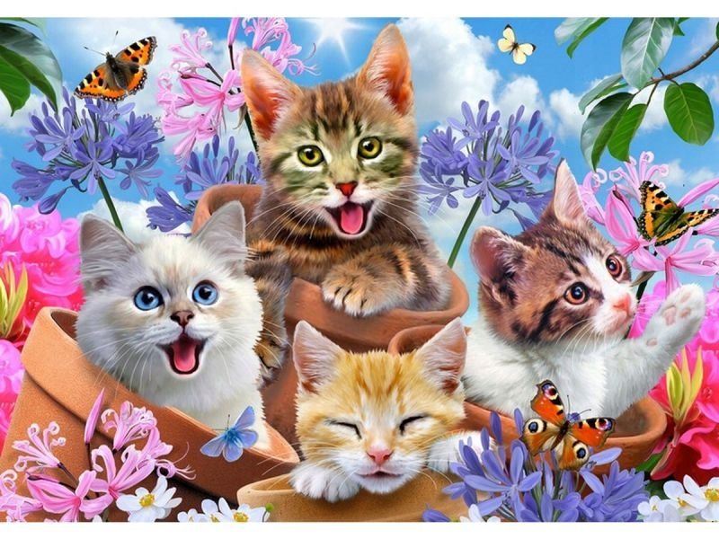 ZESTAW HAFT DIAMENTOWY, OBRAZ, MOZAIKA 4 KOTKI