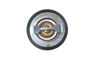 Termostaty - Termostat, płyn chłodzący NRF 725205 - miniaturka - grafika 1