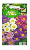Nasiona i cebule - Aster alpejski mieszany 0,5 g POLAN - miniaturka - grafika 1