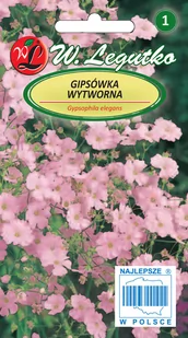 Legutko sp. z o.o Nasiona Gipsówka wytworna różowa, 1g - Nasiona i cebule - miniaturka - grafika 1