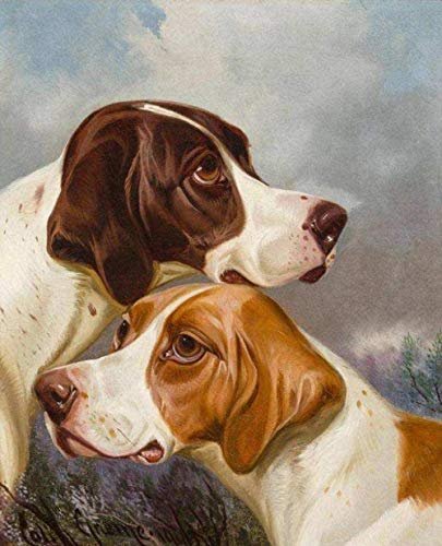 adidas Męskie Terrex Multi Zip Off Spodnie 32 Regularne Czarne