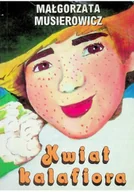 Literatura popularno naukowa dla młodzieży - Akapit Press Wydawnictwo Kwiat kalafiora - dostawa od 3,49 PLN Musierowicz Małgorzata - miniaturka - grafika 1