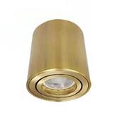 Lampy sufitowe - Auhilon Mini lampa sufitowa 1-punktowa kierunkowa złota C1300-1L GD C1300-1L GD - miniaturka - grafika 1