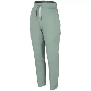Spodnie Damskie 4F Jasna Zieleń H4Z22 Spdd018 42S-Xl - Spodnie damskie - miniaturka - grafika 1