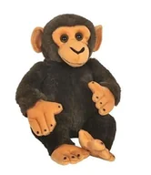 Maskotki i pluszaki - Małpa szympans 22cm - zabawka - miniaturka - grafika 1