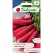 Nasiona i cebule - Nasiona Rzodkiewka Opolanka 5g - W.Legutko - miniaturka - grafika 1