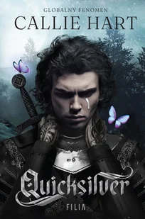 Quicksilver - E-booki - fantastyka i horror - miniaturka - grafika 1