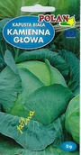 Nasiona i cebule - Kapusta Głowiasta Biała Kamienna Głowa Nasiona 2g Polan - miniaturka - grafika 1