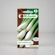 Nasiona i cebule - Cebula siedmiolatka Winter Nest Biała 2g - Nasiona - W. Legutko - miniaturka - grafika 1