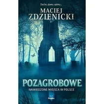 POZAGROBOWE NAWIEDZONE MIEJSCA W POLSCE - Pozostałe książki - miniaturka - grafika 1
