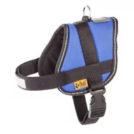 Smycze dla psów - Dingo zakładanymi na co dzień, w dużym, 29 35 cm, czerwony, 4, niebieski - miniaturka - grafika 1