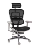 Fotele i krzesła biurowe - Fotel biurowy Ergohuman 2 Elite GS Black, czarny, ergonomiczny, siatkowy - miniaturka - grafika 1