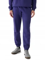Dresy męskie - Męskie spodnie dresowe 4F TROM1140 031S XL - miniaturka - grafika 1