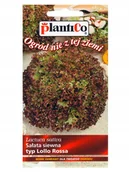 Nasiona i cebule - Plantico Sałata typ LolloRossa - miniaturka - grafika 1