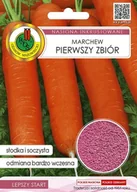 Nasiona i cebule - MARCHEW PIERWSZY ZBIÓR INKRUST. 5g - miniaturka - grafika 1