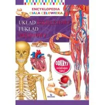 Encyklopedia ciała człowieka Układ szkieletowy i układ mięśniowy Praca zbiorowa - Książki medyczne - miniaturka - grafika 1