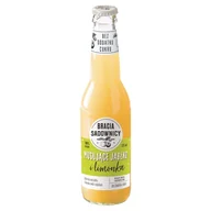 Soki i napoje niegazowane - Bracia Sadownicy Napój lekko gazowany musujące jabłko i limonka 275 ml - miniaturka - grafika 1