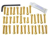 Części motocyklowe - Pro-Bolt ETR034 aluminiowy zestaw śrub silnikowych do Triumph Tiger 800, złoty, - miniaturka - grafika 1