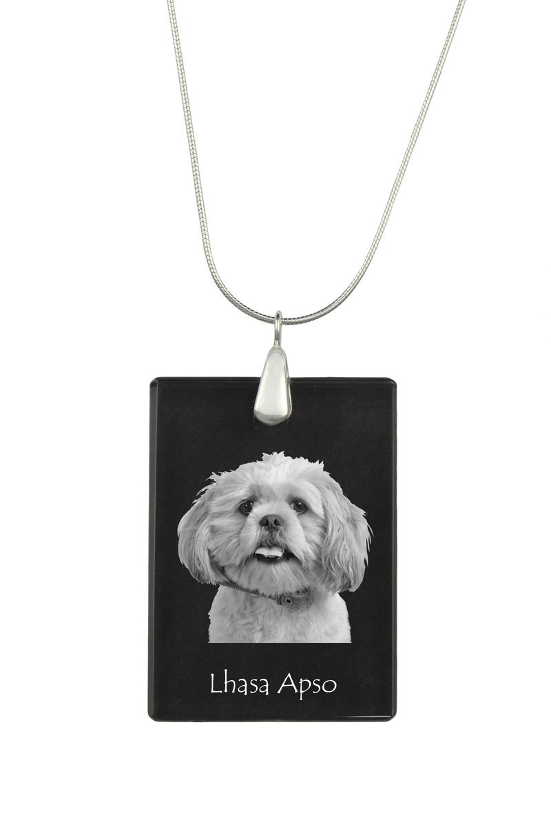 Lhasa Apso - kryształowa zawieszka z psem, srebrny naszyjnik ze zdjęciem, personalizowany wisiorek marki Art-Dog